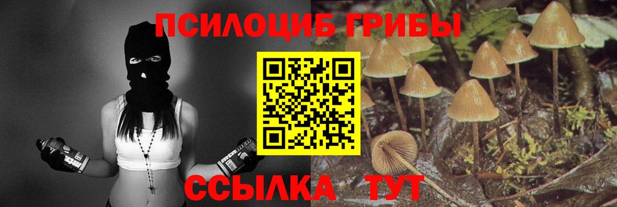 Псилоцибиновые грибы прущие грибы Егорьевск